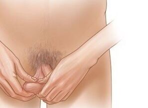Exercicios de Jelking para aumentar o pene
